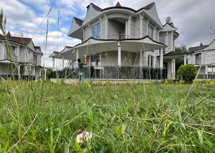 Site View